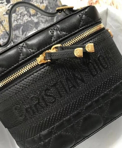 Christian Dior The Leather Vanity Bag Black